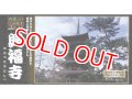 童友社  (NG13)  1/400  興福寺（ゴールドメッキ版）日本の伝統美シリーズ  