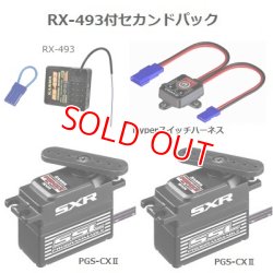 画像1: 三和電子 RX-493付セカンドパック [RX-493受信機とPGS-CXIIサーボ x2付]       