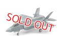 タミヤ (61124) 1/48 ロッキード マーチンF-35A ライトニングII    