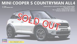 画像1: ハセガワ (CD21) 1/24 (2011年) ミニ クロスオーバー   