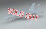 ハセガワ  (E2)  1/72  F-14A トムキャット (ロービジ)   
