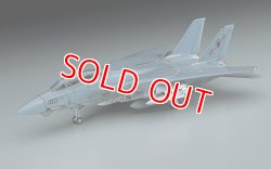 画像1: ハセガワ  (E2)  1/72  F-14A トムキャット (ロービジ)   