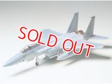 タミヤ（61029）1/48 マグダネル・ダグラス F-15C イーグル   