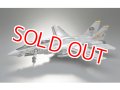 ハセガワ  (PT46)  1/48 F-14A トムキャット  