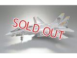 ハセガワ  (PT46)  1/48 F-14A トムキャット  