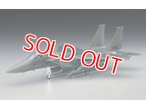 ハセガワ (E10)  1/72  F-15E ストライク イーグル  
