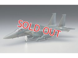 画像1: ハセガワ (E10)  1/72  F-15E ストライク イーグル  