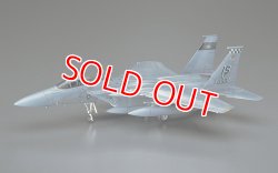 画像1: ハセガワ (E13) 1/72 F-15C イーグル “アメリカ空軍”  