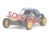 タミヤ（58470）組立キット  1/10RC ホリデーバギー (2010) 塗装済みボディ  