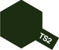 タミヤ TS-2 カラー スプレー (ダークグリーン)   