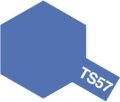 旧価格 タミヤ TS-57 カラー スプレー (ブルーバイオレット つやあり)    