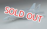 画像: ハセガワ  (E2)  1/72  F-14A トムキャット (ロービジ)   