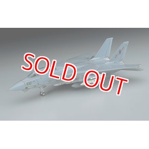 画像: ハセガワ  (E2)  1/72  F-14A トムキャット (ロービジ)   