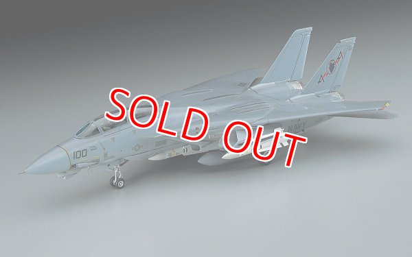 画像1: ハセガワ  (E2)  1/72  F-14A トムキャット (ロービジ)    (1)