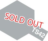 画像: タミヤ（85042）TS-42 ライトガンメタル  (つやあり)  