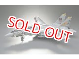 画像: ハセガワ  (PT46)  1/48 F-14A トムキャット  