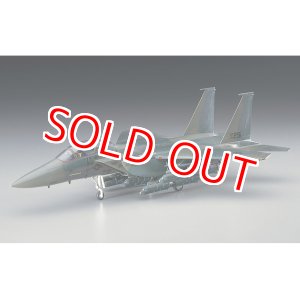 画像: ハセガワ (E10)  1/72  F-15E ストライク イーグル  