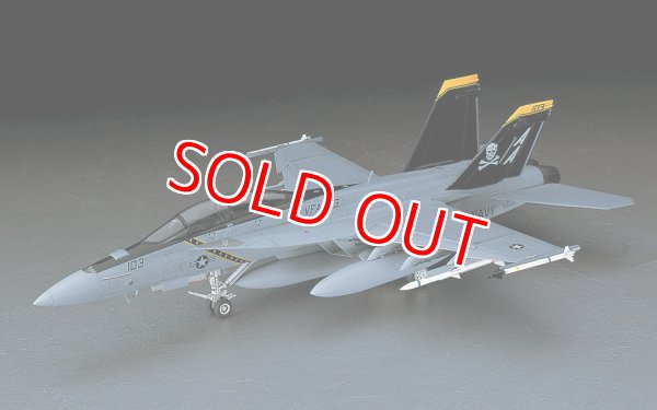 画像1: ハセガワ (PT38) 1/48 F/A-18F スーパーホーネット   (1)
