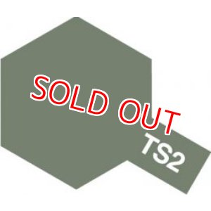 画像: タミヤ（85002）TS-2 ダークグリーン  