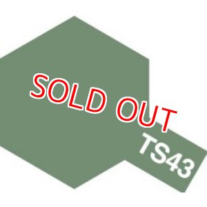 画像: タミヤ(85043)TS-43 レーシンググリーン (つやあり)