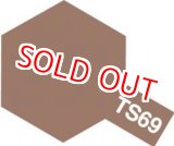 画像: タミヤ（85069）TS-69 リノリウム甲板色 (つや消し)  