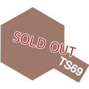 画像: タミヤ（85069）TS-69 リノリウム甲板色 (つや消し)  