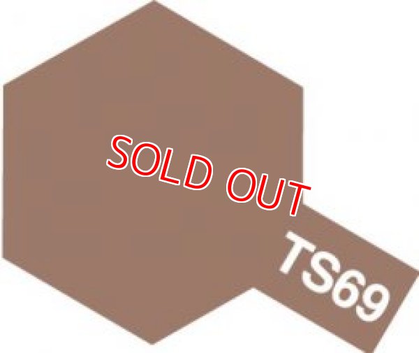 画像1: タミヤ（85069）TS-69 リノリウム甲板色 (つや消し)  