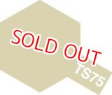 画像: タミヤ（85075）TS-75 シャンパンゴールド  