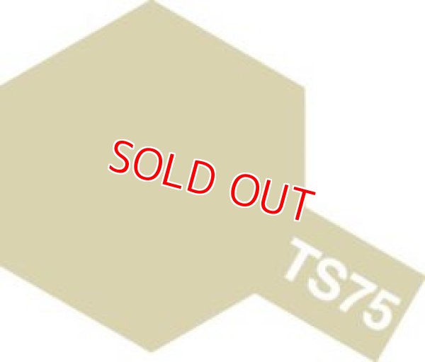 画像1: タミヤ（85075）TS-75 シャンパンゴールド  