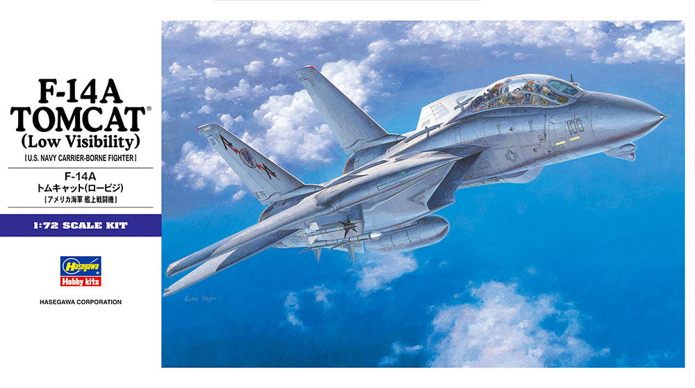 画像: ハセガワ  (E2)  1/72  F-14A トムキャット (ロービジ)   