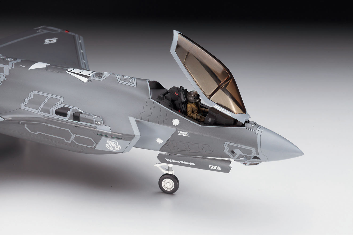 画像: ハセガワ  (E42) 1/72 F-35A ライトニングII  