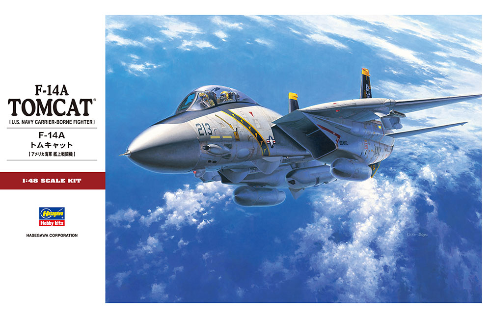 画像: ハセガワ  (PT46)  1/48 F-14A トムキャット  