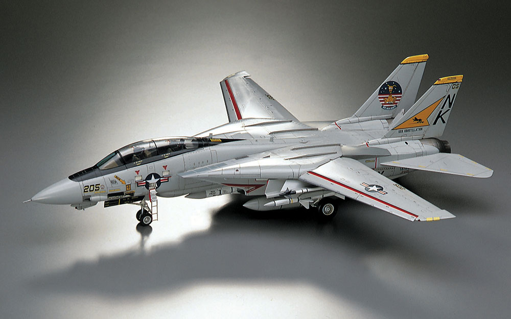 画像: ハセガワ  (PT46)  1/48 F-14A トムキャット  