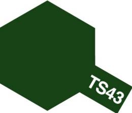 画像1: 旧価格 タミヤ TS-43 カラー スプレー (レーシンググリーン つやあり)   